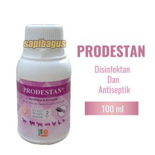 Image Prodestan---Sapibagus---Ruminansia.jpg